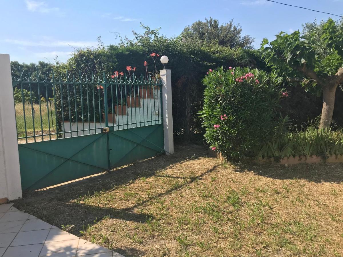 Mas De La Vieille Vigne Villa Argeles-sur-Mer Exterior photo